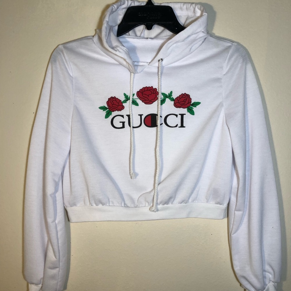 champion cropped hoddie